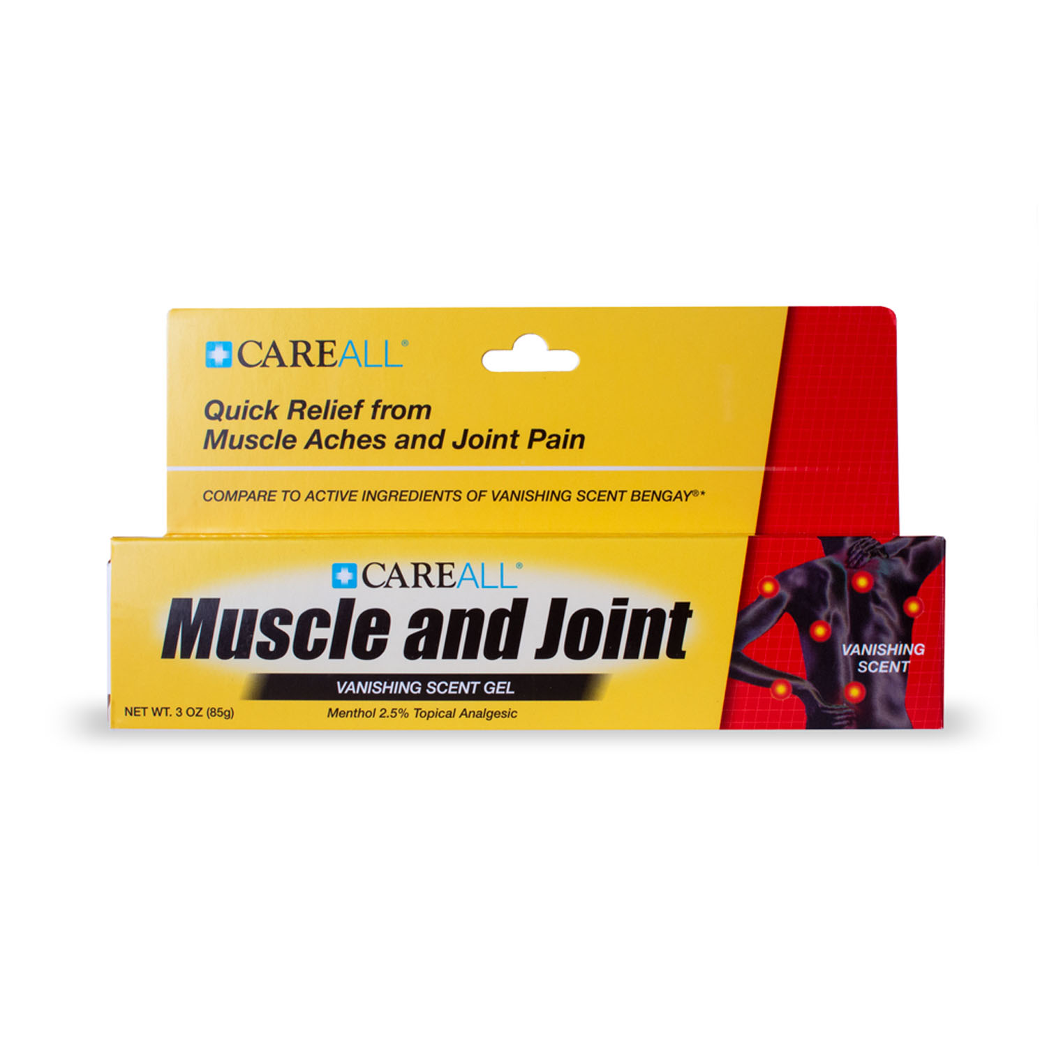 NEW WORLD IMPORTS CAREALL MUSCLE & JOINT GEL : MJG3 EA      $1.77 Stocked