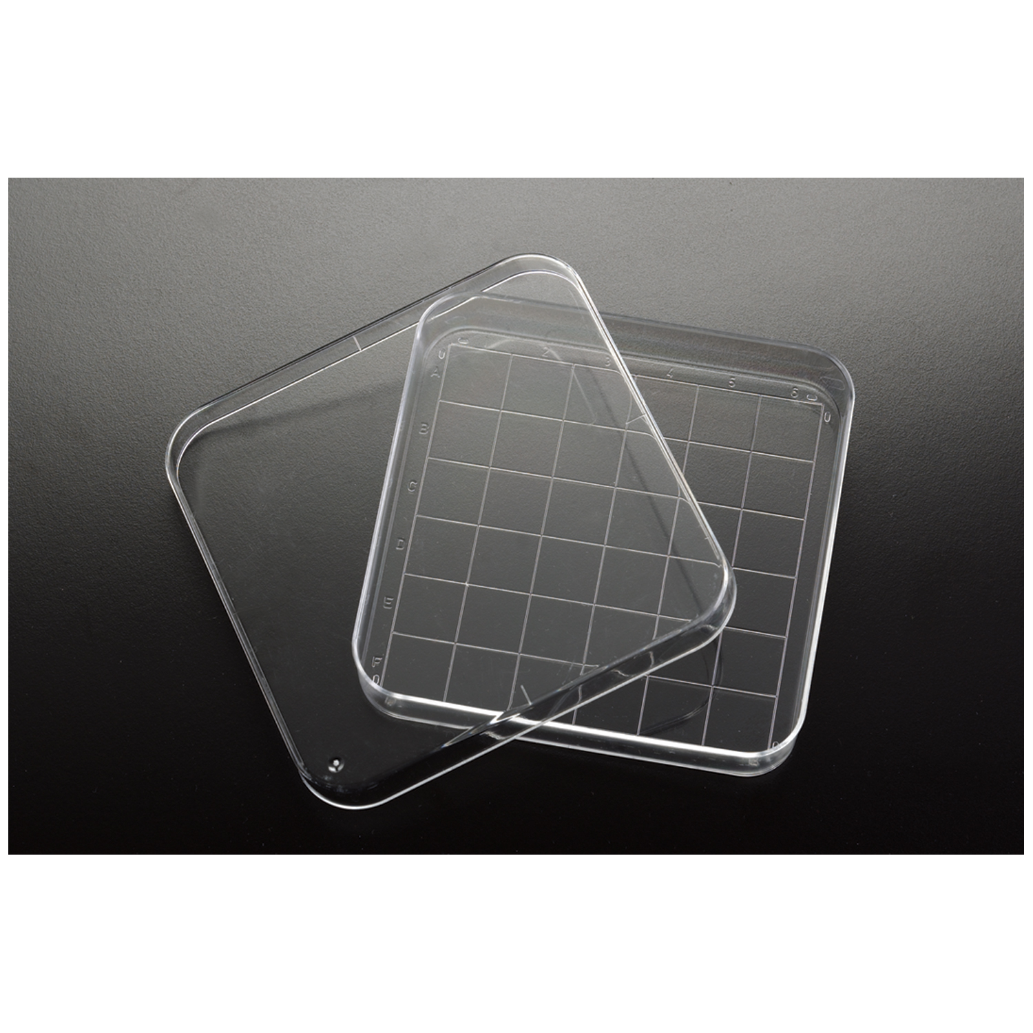 SIMPORT PETRI DISH : D210-16 SLV                    $10.34 Stocked