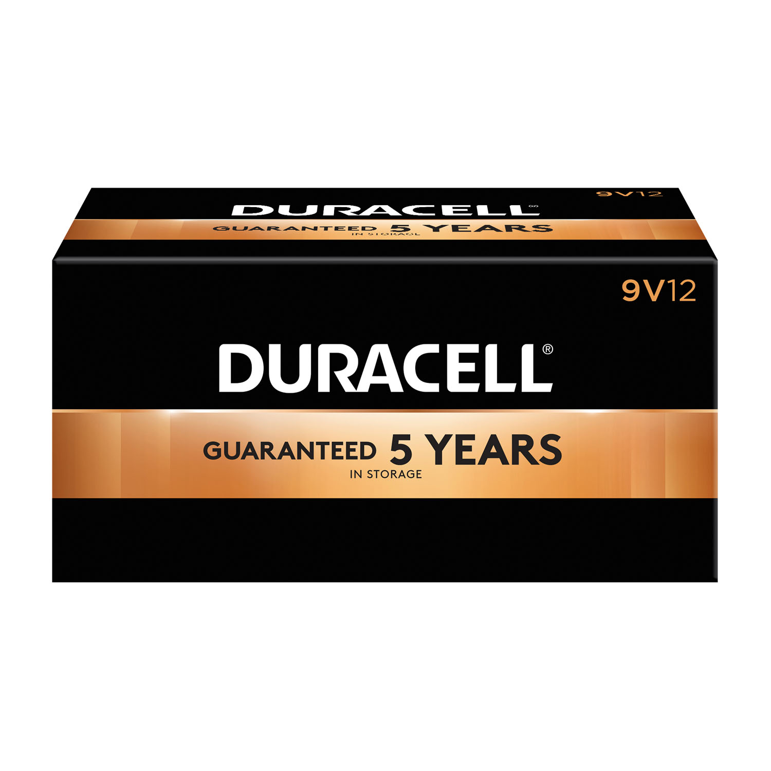 DURACELL COPPERTOP ALKALINE BATTERY WITH DURALOCK POWER PRESERVE TECHNOLOGY : MN1604BKD CS               $262.18 Stocked