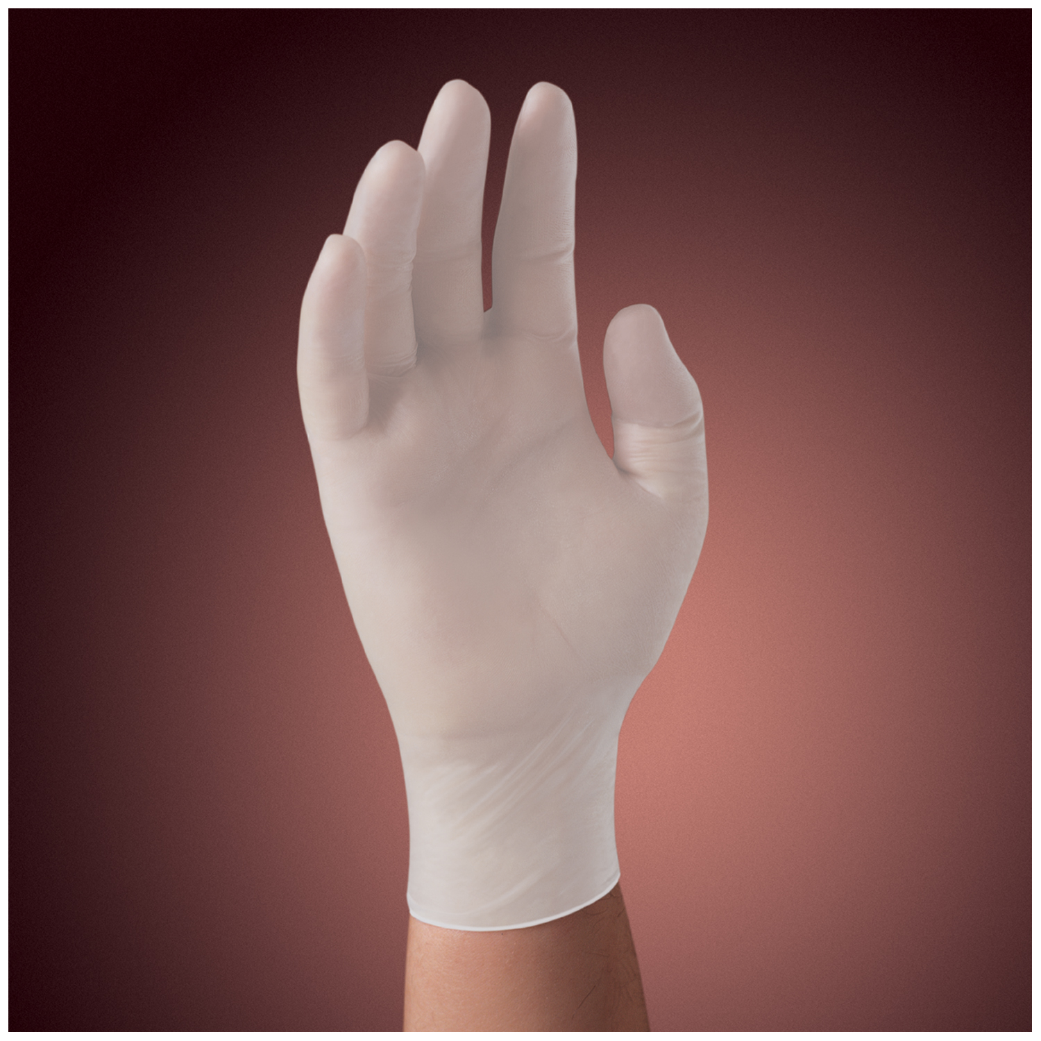 HALYARD VINYL POWDER-FREE STRETCH EXAM GLOVES : 50032 CS