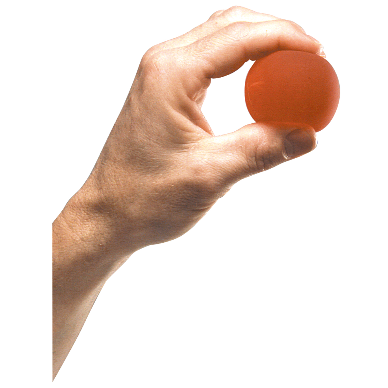 PERFORMANCE HEALTH THERABAND HAND EXERCISERS : 26050 CS $230.27 Stocked