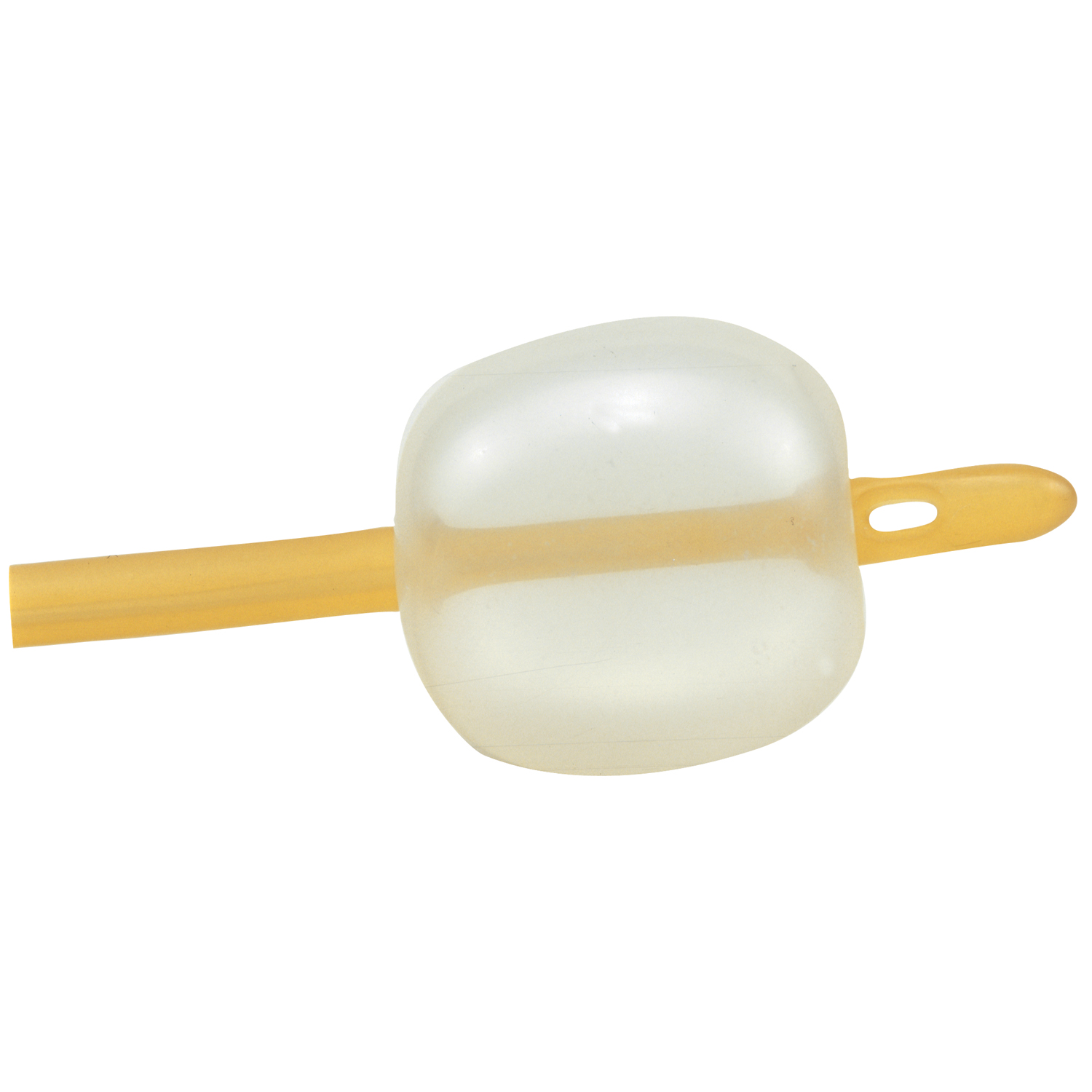 AMSINO AMSURE FOLEY CATHETER : AS42022 EA                                                                                                                      $1.61 Stocked