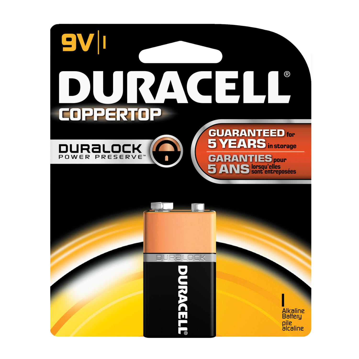 DURACELL COPPERTOP ALKALINE RETAIL BATTERY WITH DURALOCK POWER PRESERVE TECHNOLOGY : MN1604B1Z PK                                                                                                                                                              