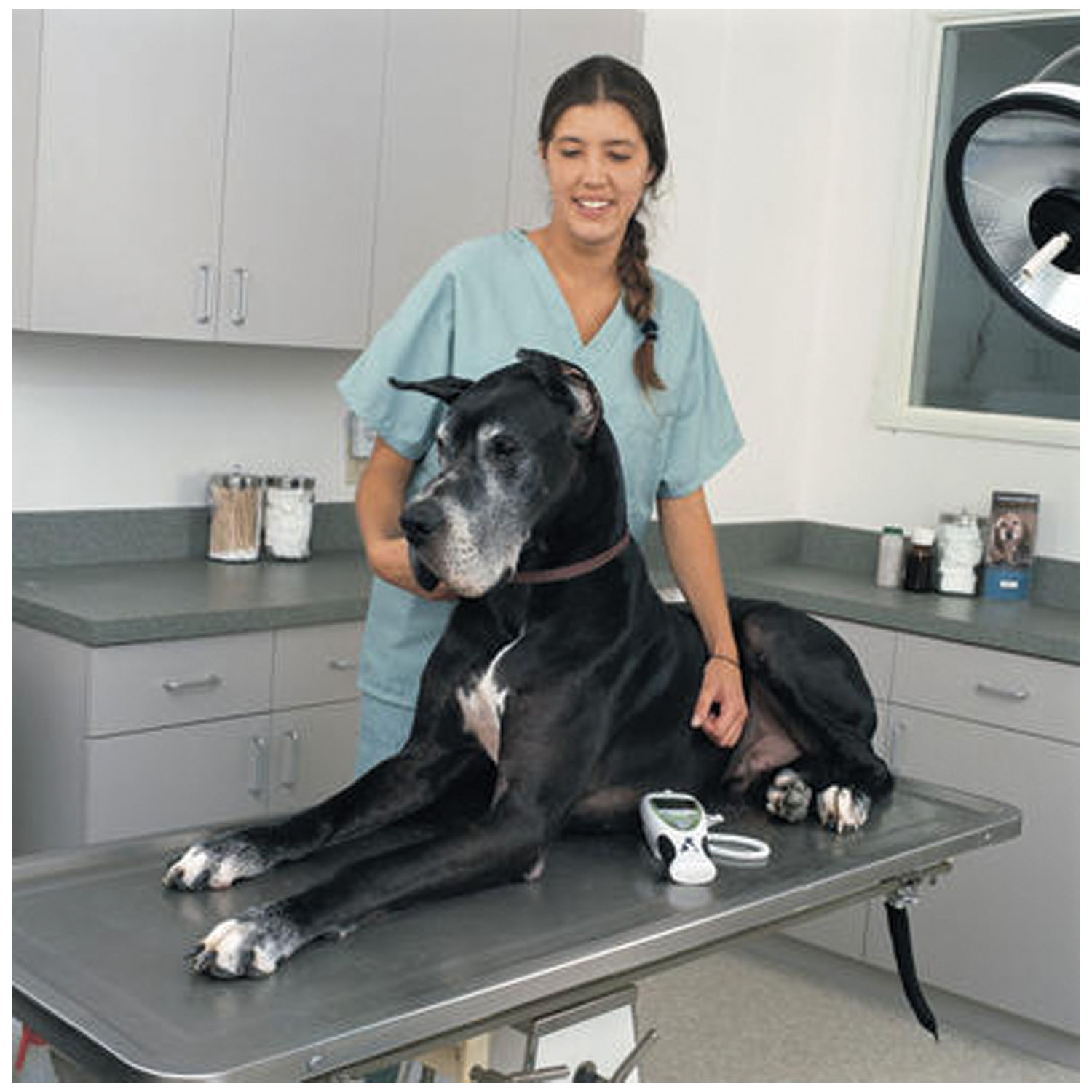 WELCH ALLYN SURETEMP PLUS ELECTRONIC THERMOMETER : 01690-201 EA                               $427.50 Stocked